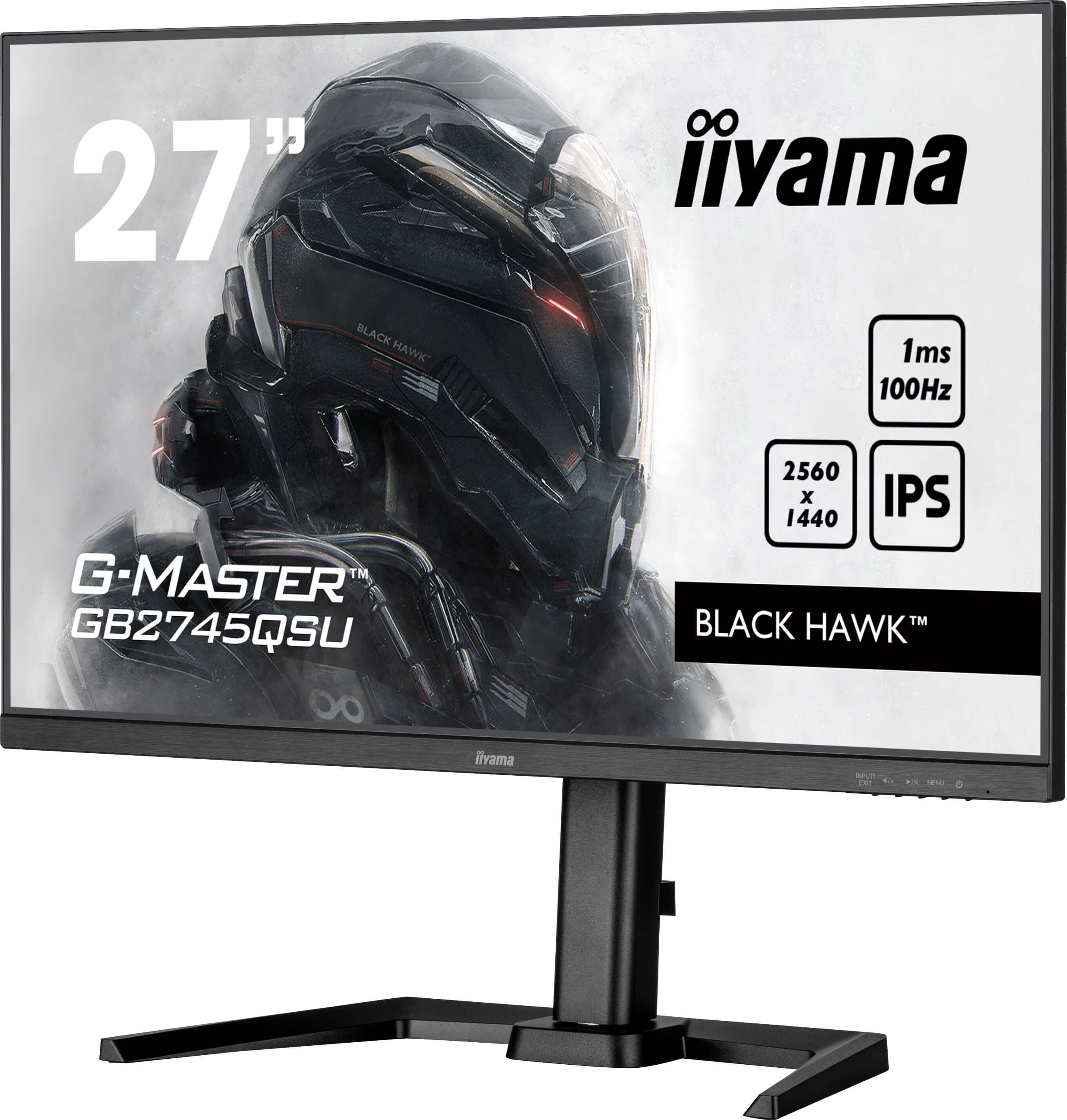 27iW LCD QHD Business/Gaming IPS 100Hz