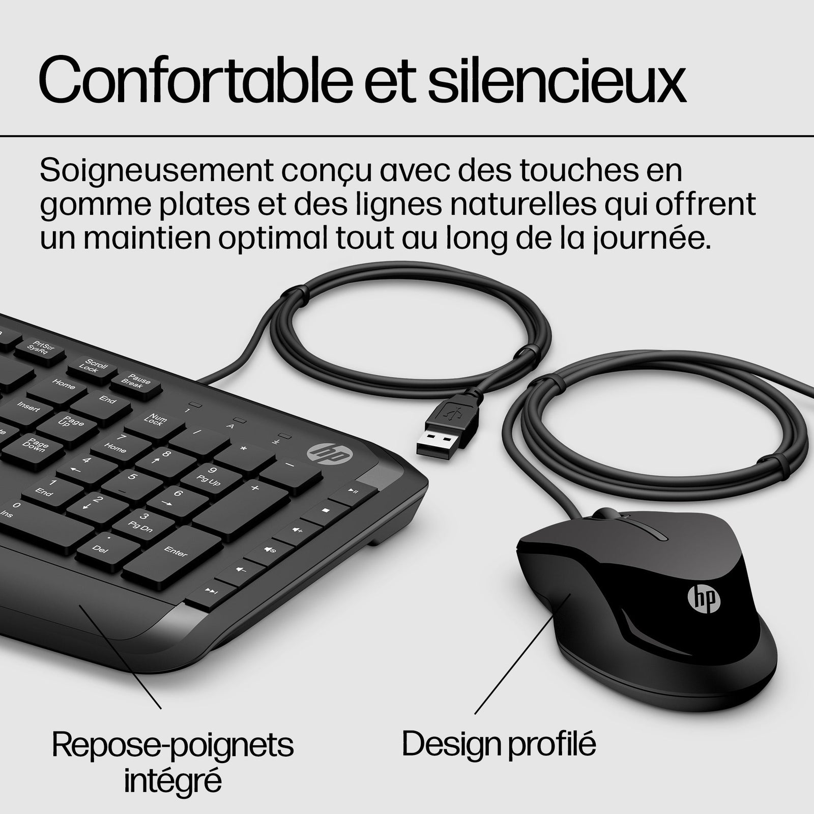 ACC: HP Pavilion Keyboard and Mouse 200