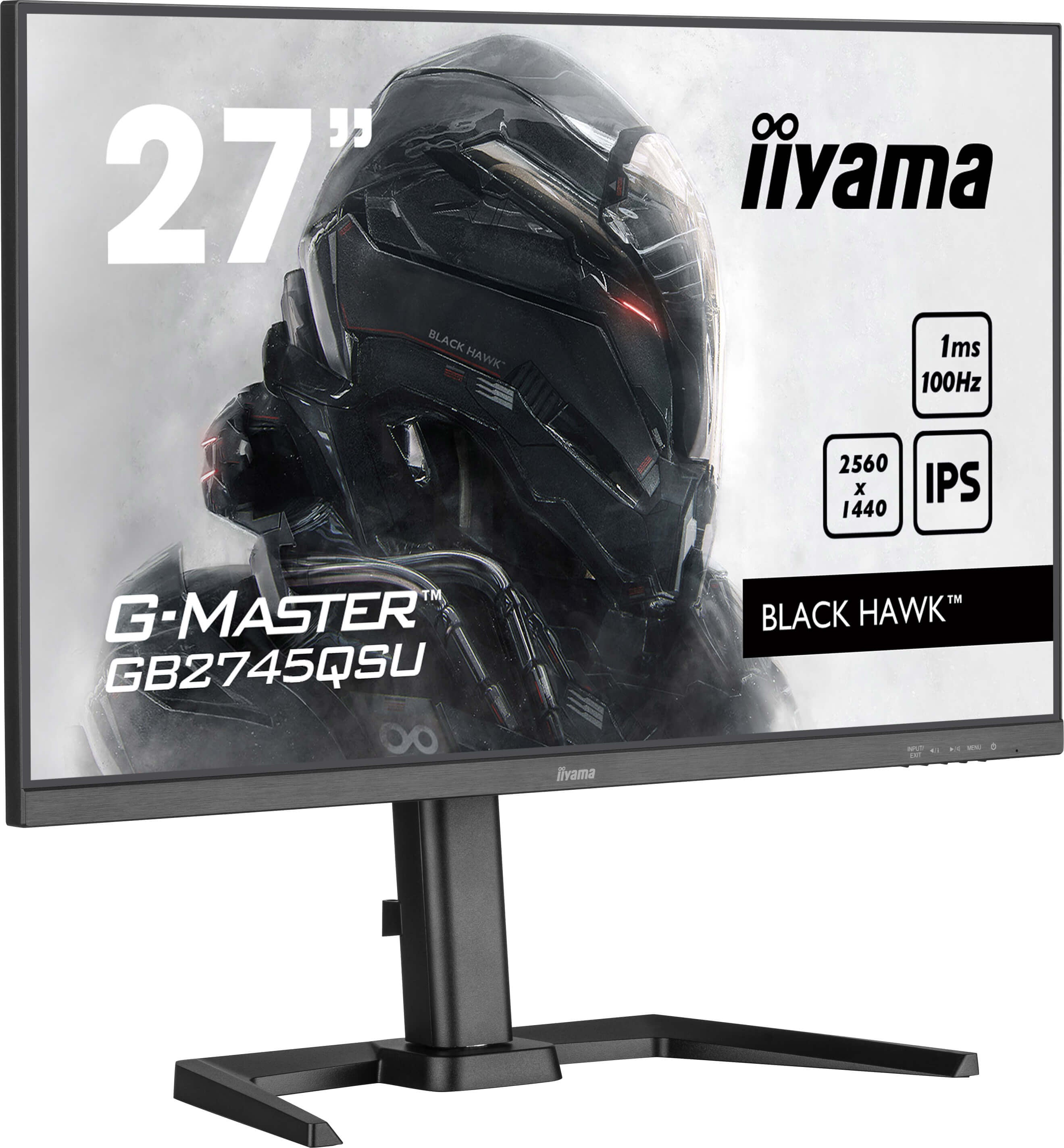 27iW LCD QHD Business/Gaming IPS 100Hz