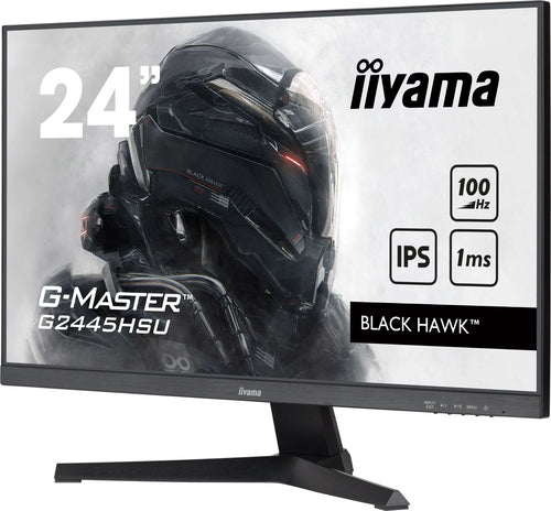 24iW LCD Full HD Gaming IPS 100Hz